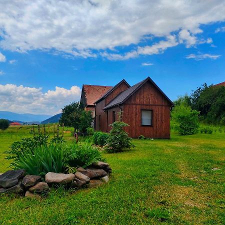 Organicle Lodge Sincraieni Extérieur photo