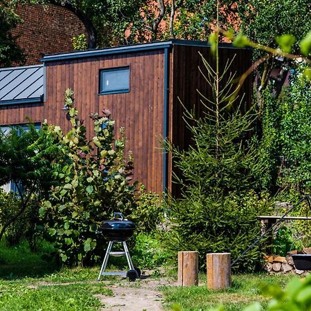 Organicle Lodge Sincraieni Extérieur photo