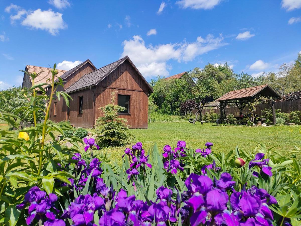Organicle Lodge Sincraieni Extérieur photo