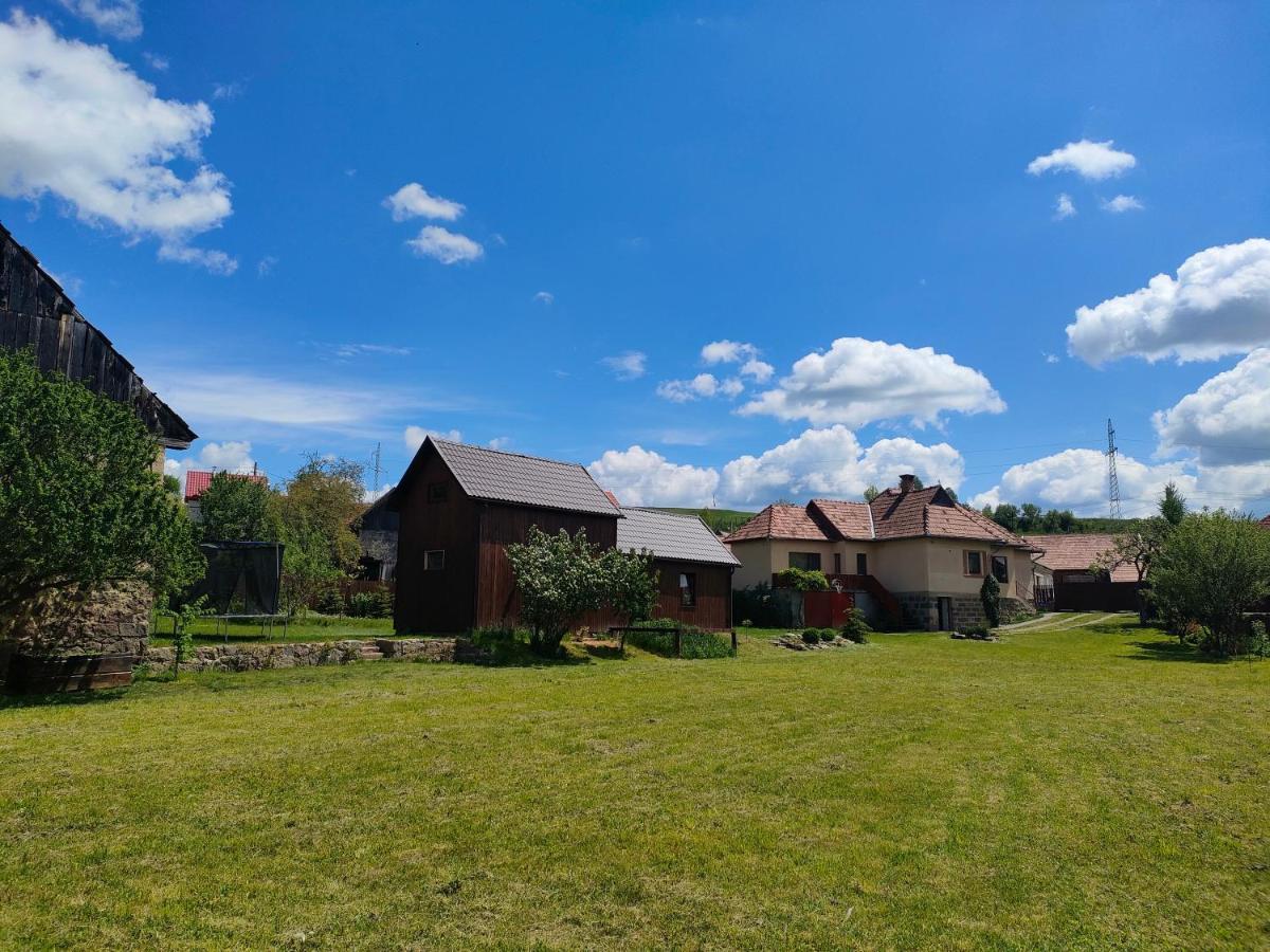 Organicle Lodge Sincraieni Extérieur photo