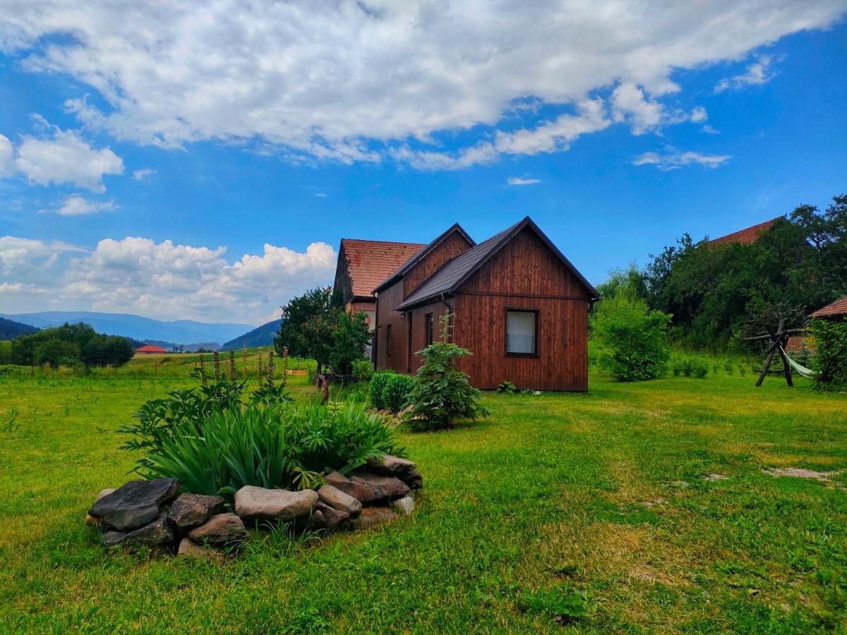 Organicle Lodge Sincraieni Extérieur photo
