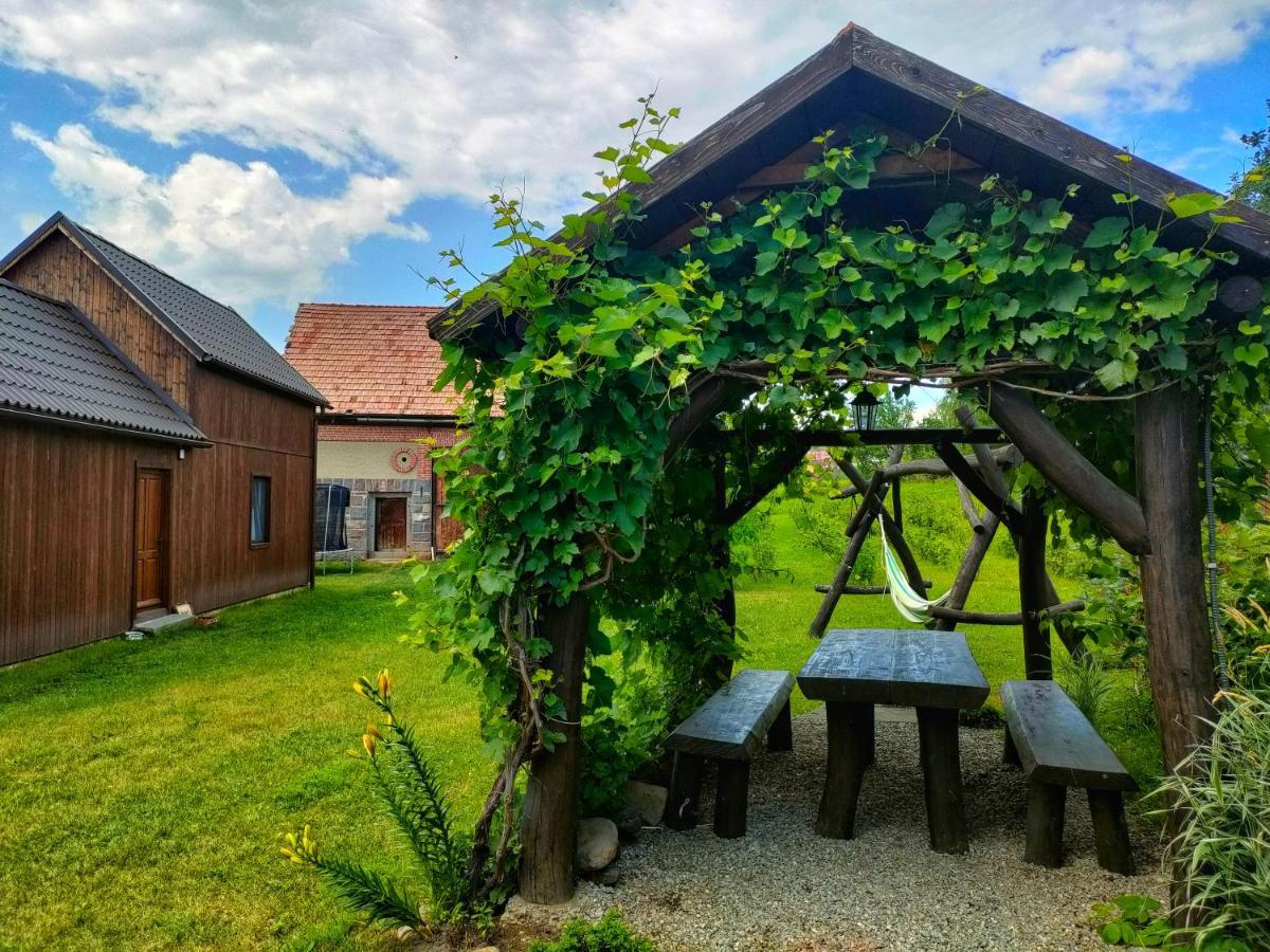 Organicle Lodge Sincraieni Extérieur photo