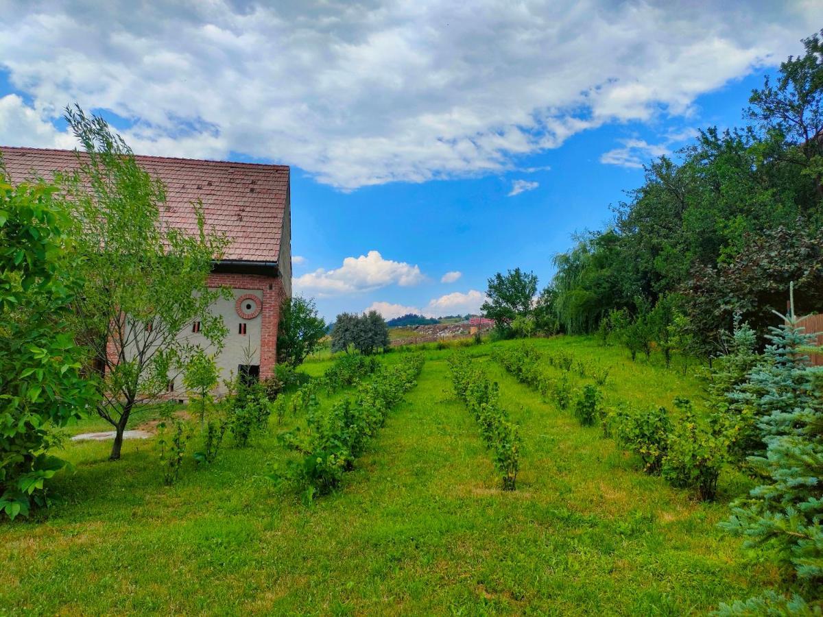 Organicle Lodge Sincraieni Extérieur photo