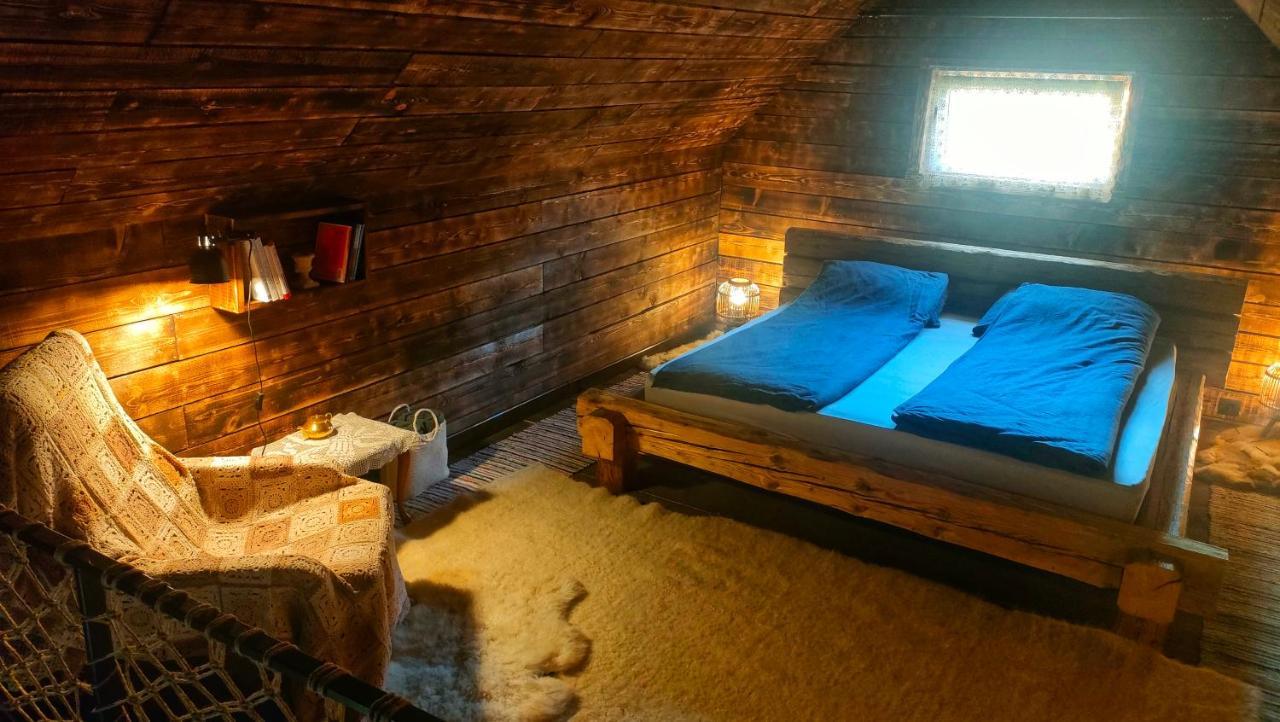 Organicle Lodge Sincraieni Extérieur photo