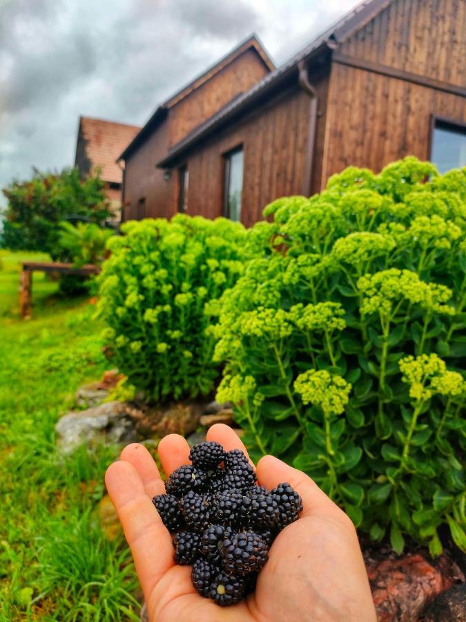 Organicle Lodge Sincraieni Extérieur photo