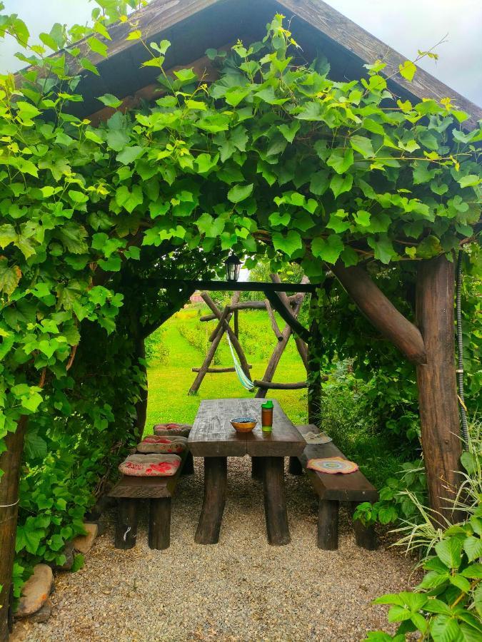 Organicle Lodge Sincraieni Extérieur photo
