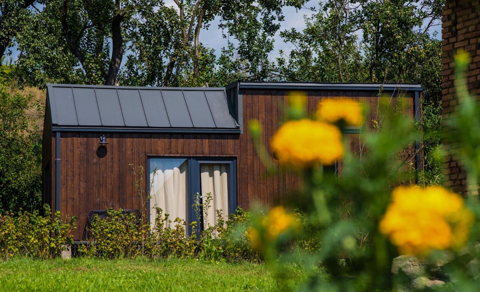Organicle Lodge Sincraieni Extérieur photo